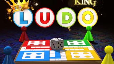 How to Play Ludo King Game Online