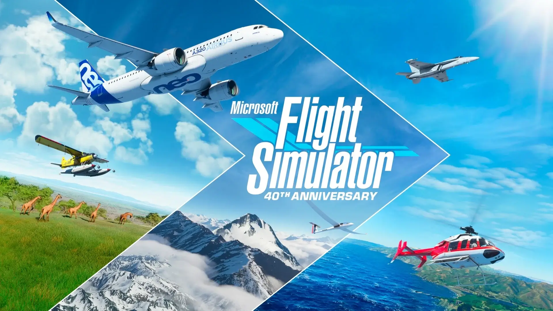 Microsoft Flight Simulator