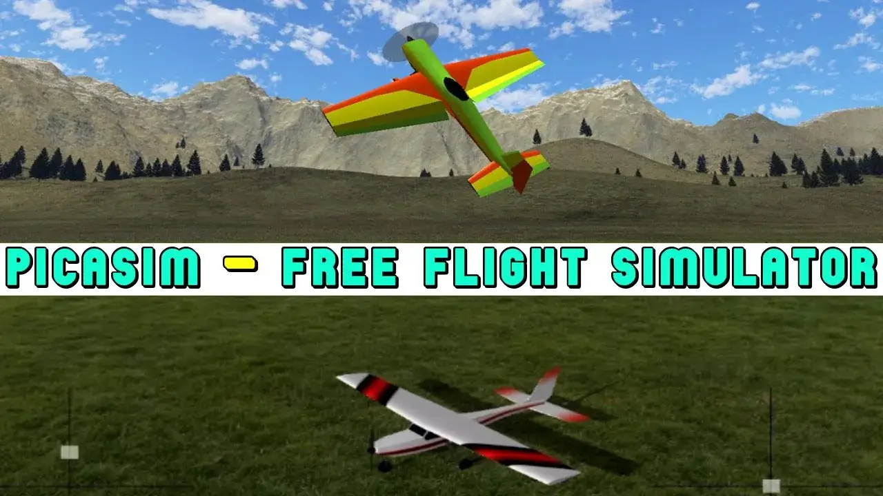 PicaSim