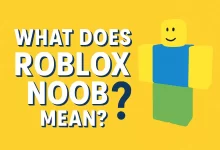 Roblox Noob Mean